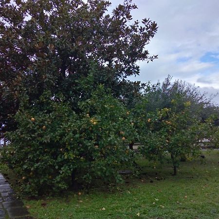Villa Pellicano -Il Nido Castellammare di Stabia Exterior foto